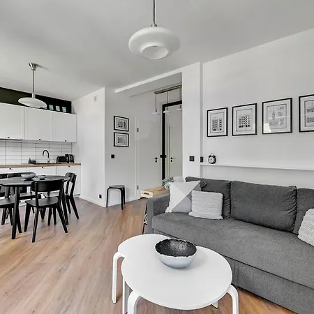 4 Lions Grobla 公寓 格但斯克